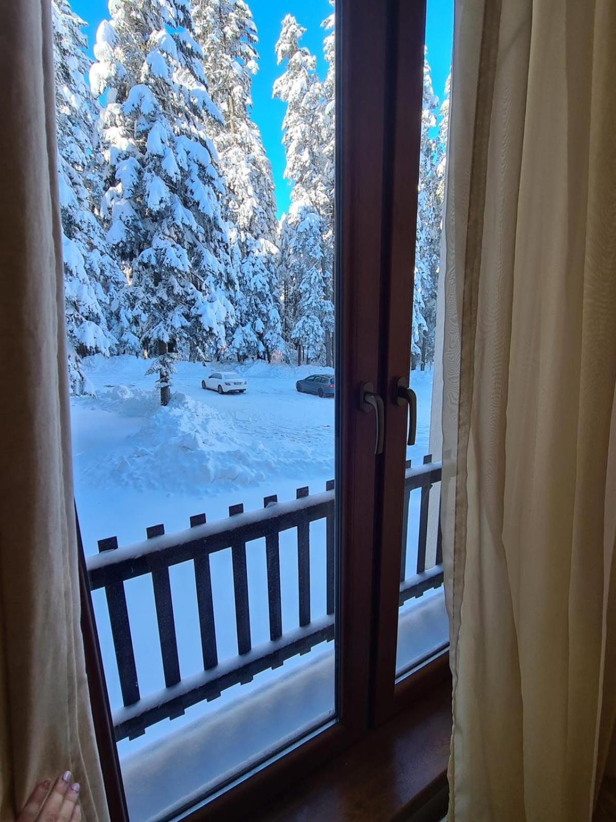 Forest Apartment/ Villa Park Borovets Exterior foto